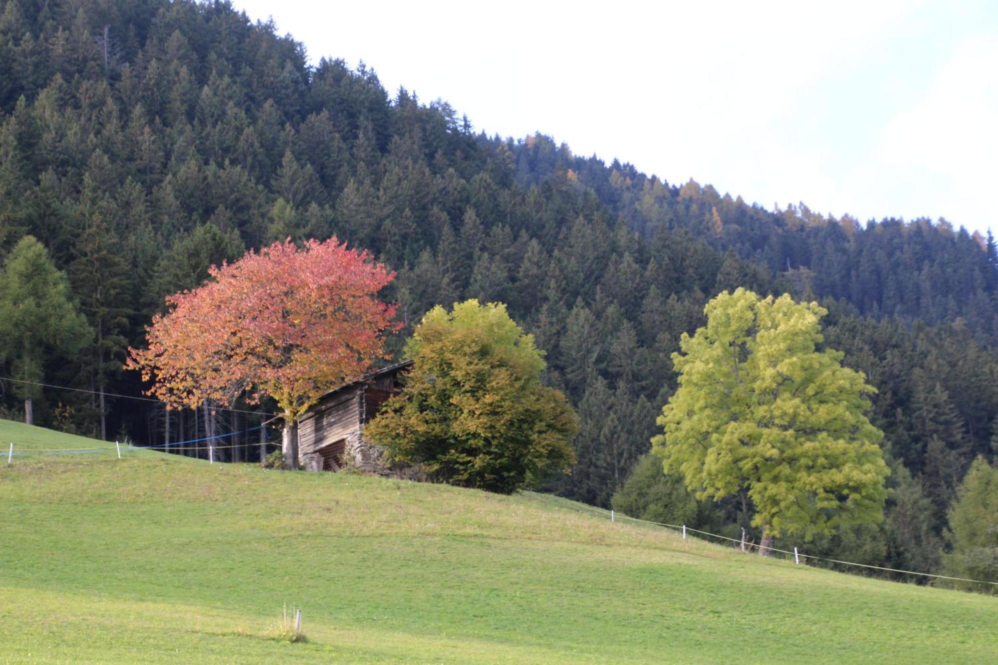 Hotel Gasthof Walde Riffian Exterior foto